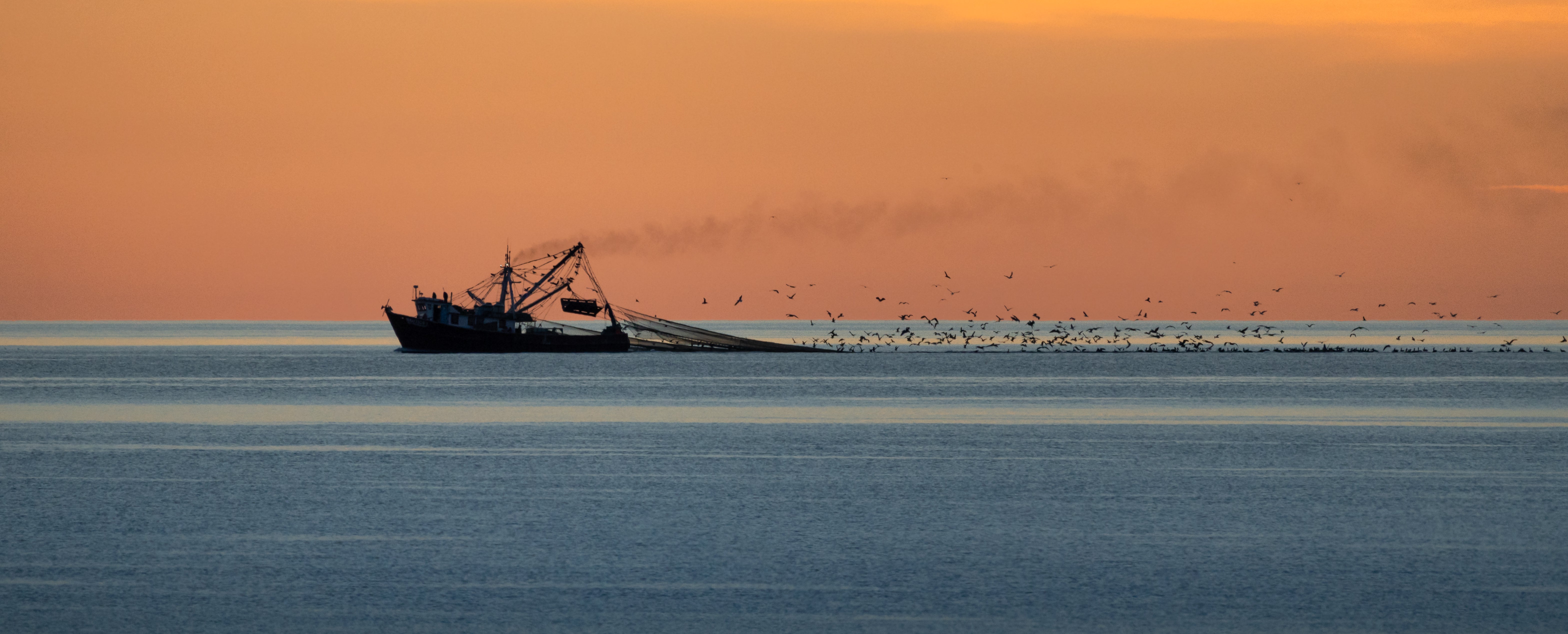 Fermo pesca 2022 per l'Adriatico - Orapesce