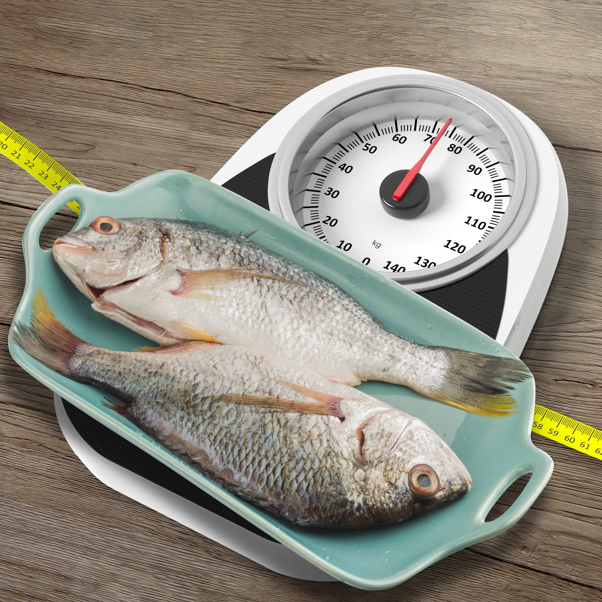 Dal pesce grasso al pesce magro specie rappresentative Orapesce