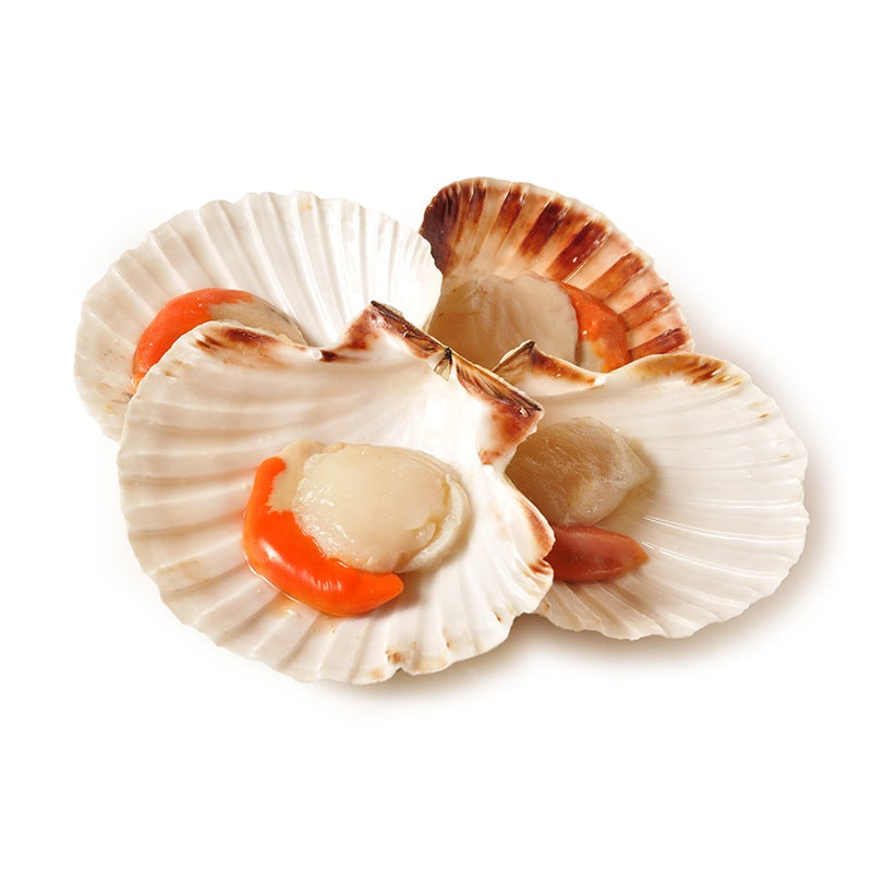 Acquista online le capesante Orapesce