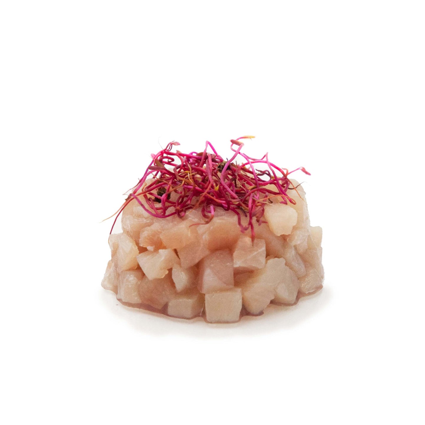 Crudi Orapesce - Acquista online la tartare di ricciola cruda