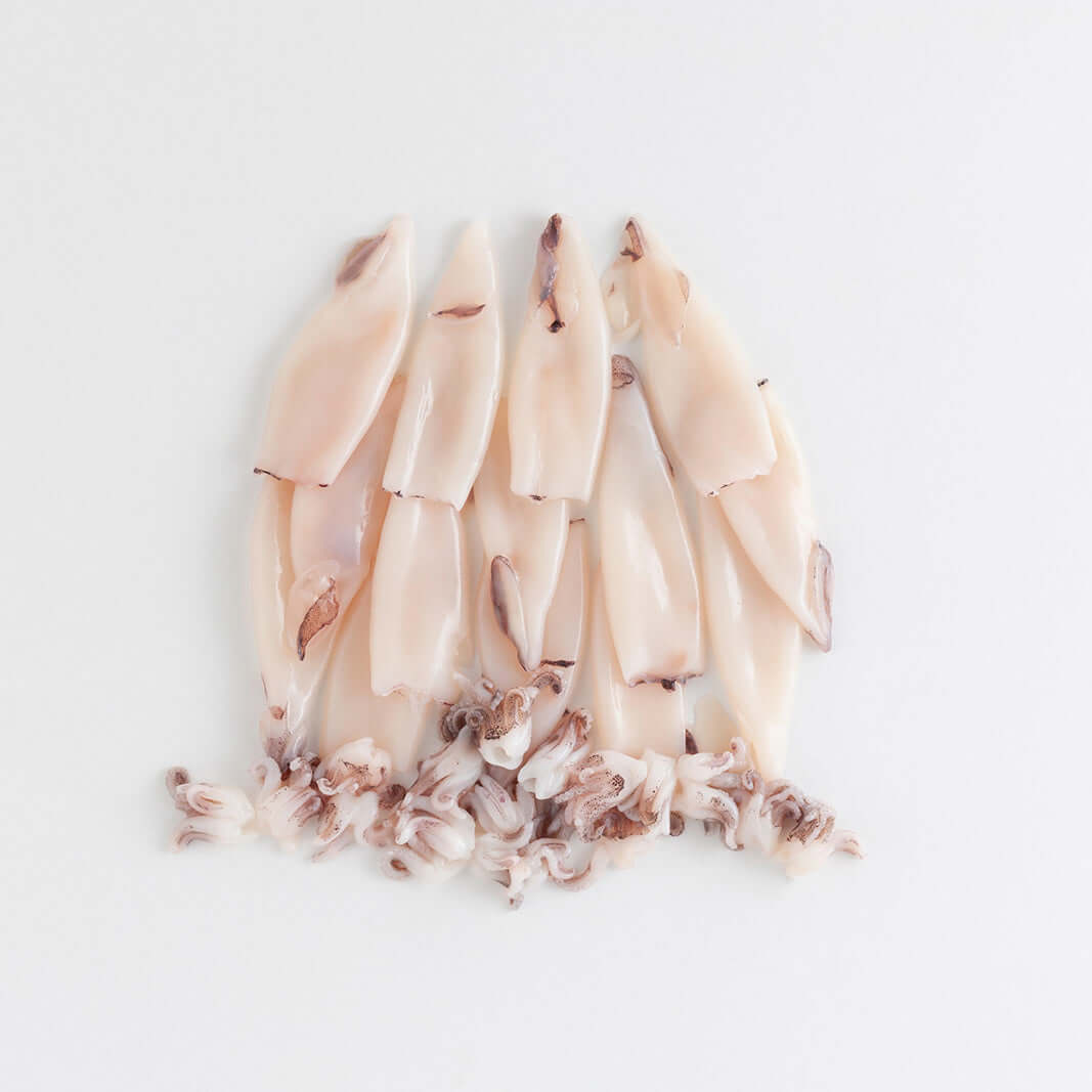 Orapesce - Acquista online il Calamaro Patagonia Butterfly