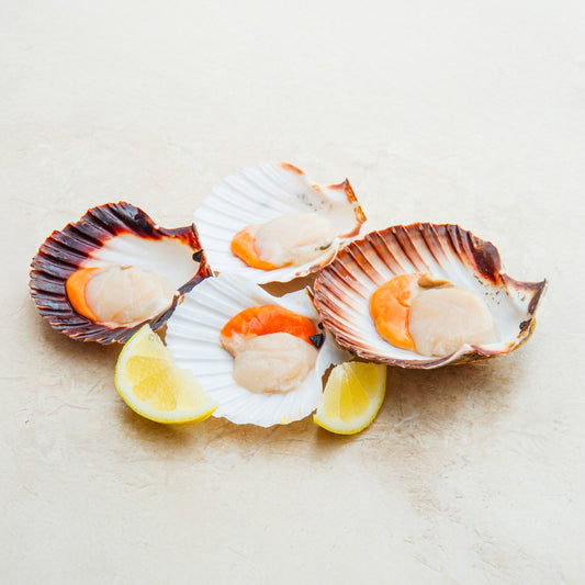 Acquista online le capesante Orapesce