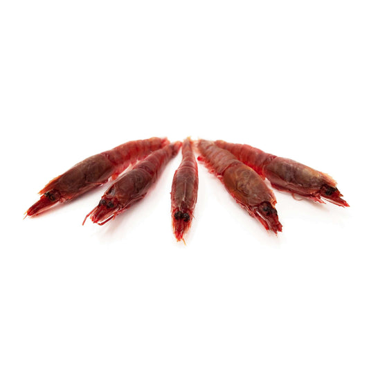 Acquista e ricevi a casa il gambero rosso di Sicilia - Crudi Orapesce