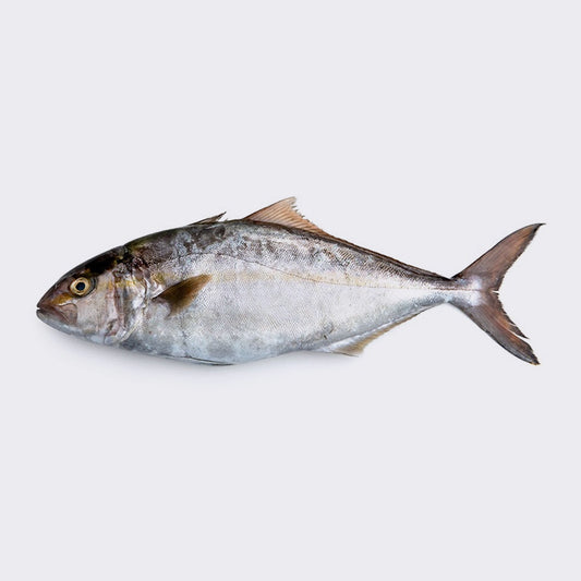 Acquista online la ricciola intera Orapesce -