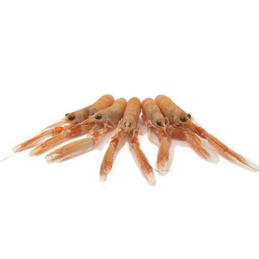 Acquista online gli scampi Sicilia - Crudi Orapesce