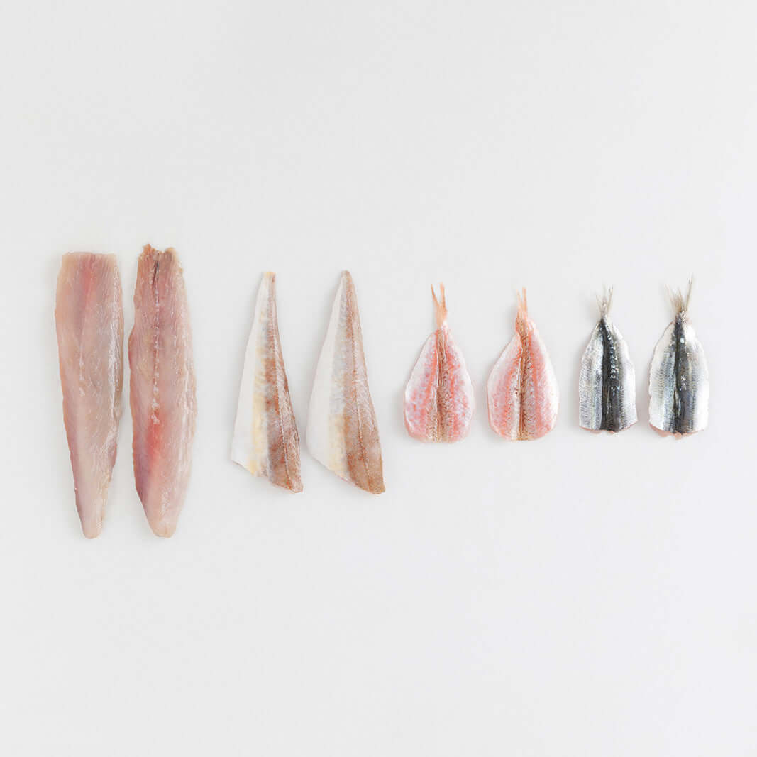 Orapesce - Acquista online i filetti misti di pesce adriatico