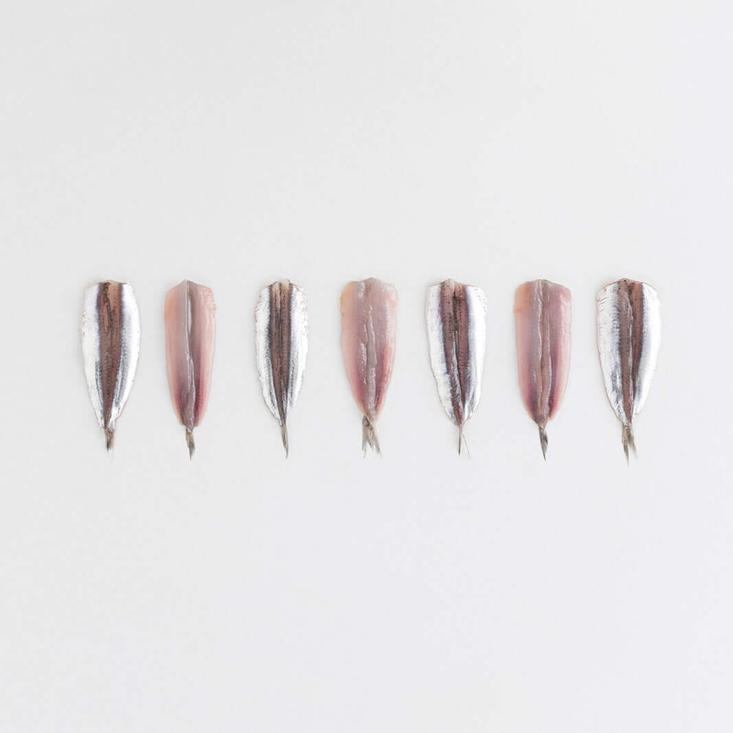 Orapesce - Acquista online i filetti di alici freschi