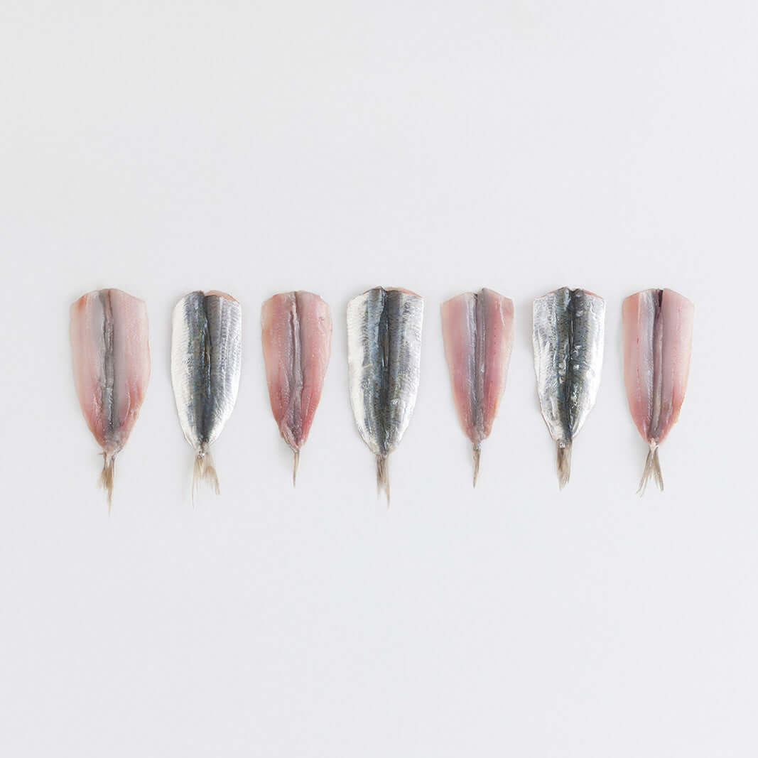 Orapesce - Acquista online i filetti di sardina freschi