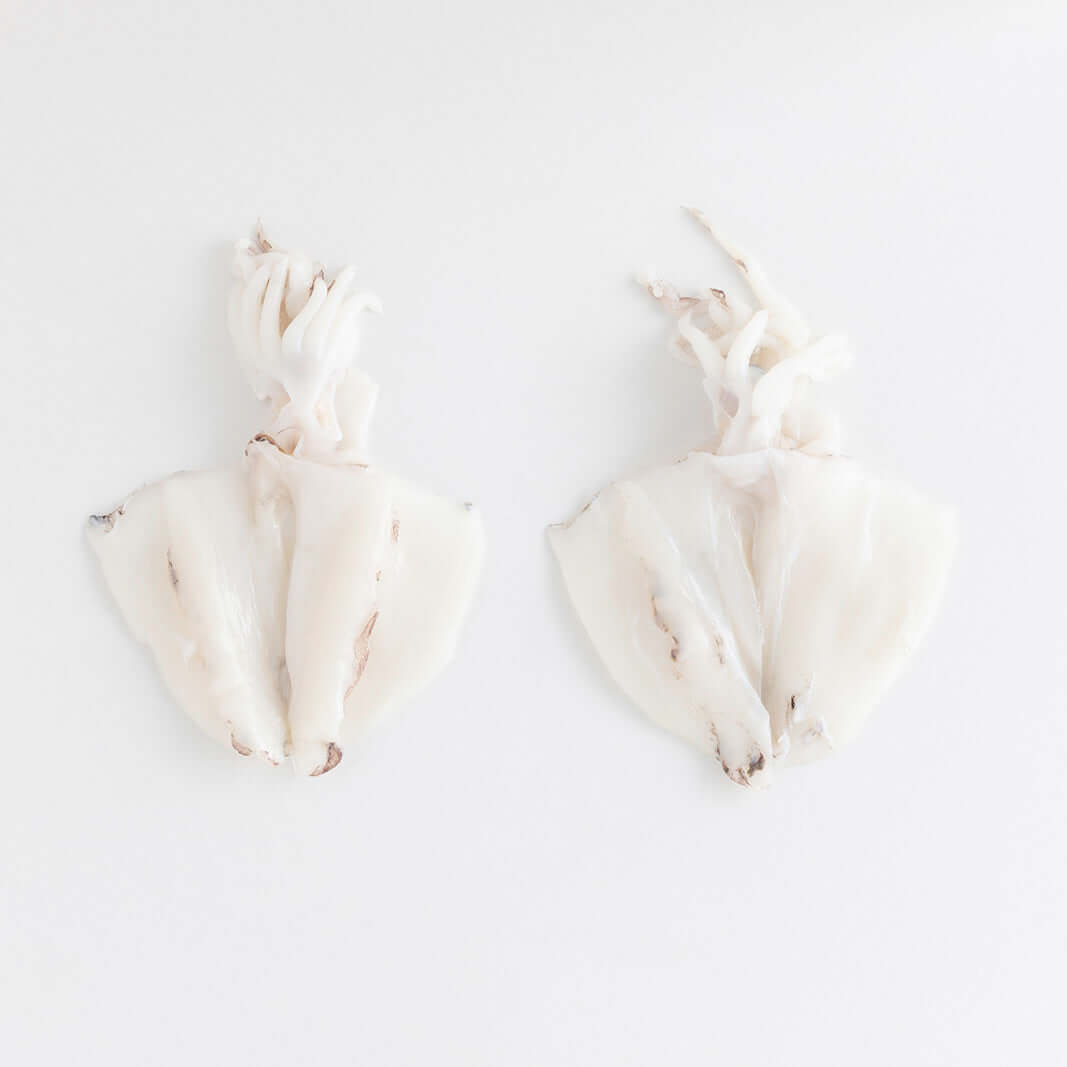 Acquista online la seppia dell'Adriatico fresca