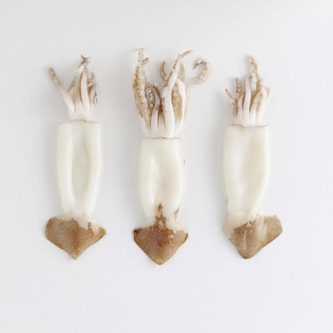 Orapesce - Acquista online i totani freschi