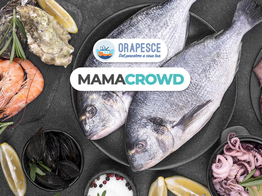 Orapesce: da start-up a leading company italiana nel fish delivery