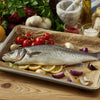 Branzino (spigola)